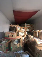 Rhino Salvage, LLC.