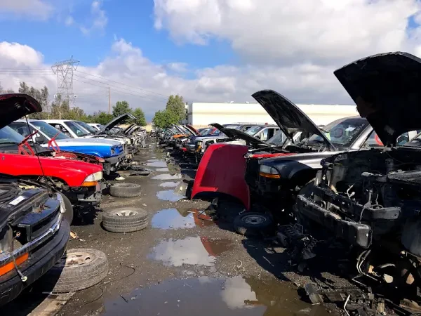 Pick A Part Auto Dismantling - photo 3