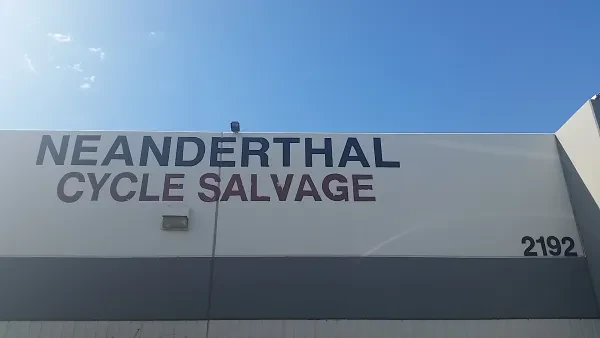 Neanderthal Cycle Salvage - photo 3