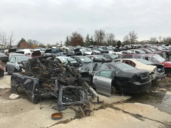 Trester Auto Parts - photo 2