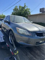 Cash for junk cars 559