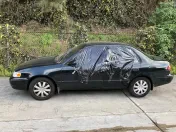Car Junker Cash