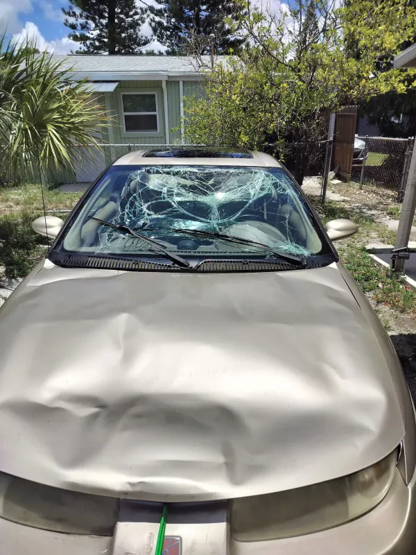 Tallahassee - Car Buyers - photo 4