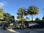 Shark Junk Cars