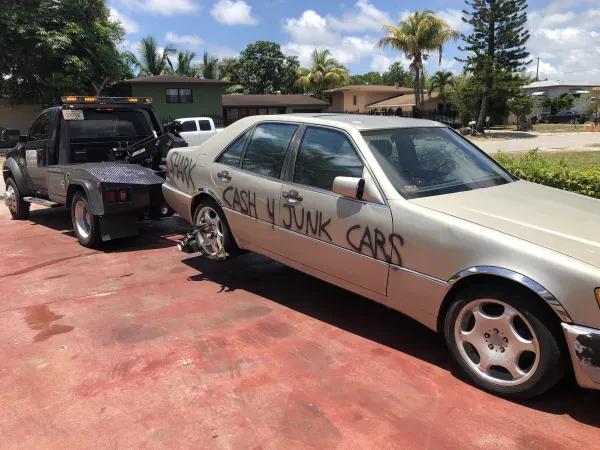 Shark Junk Cars - photo 3