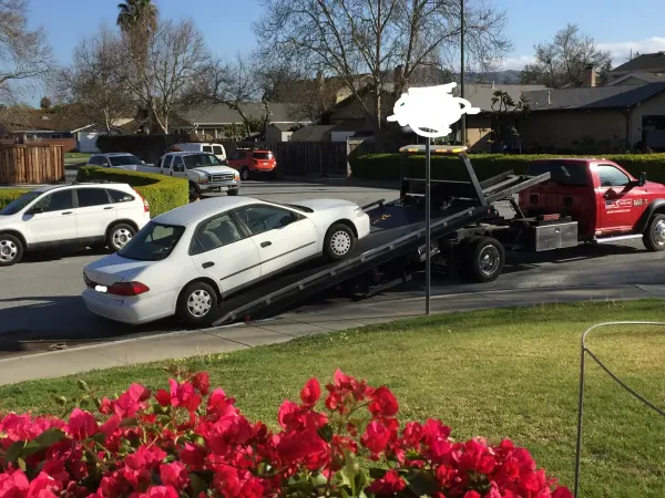 Pomona Junking Cars - photo 2