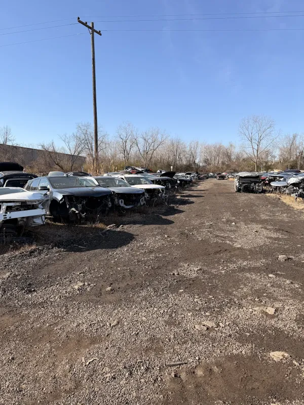 Holbrook Auto Parts Brownstown - photo 3