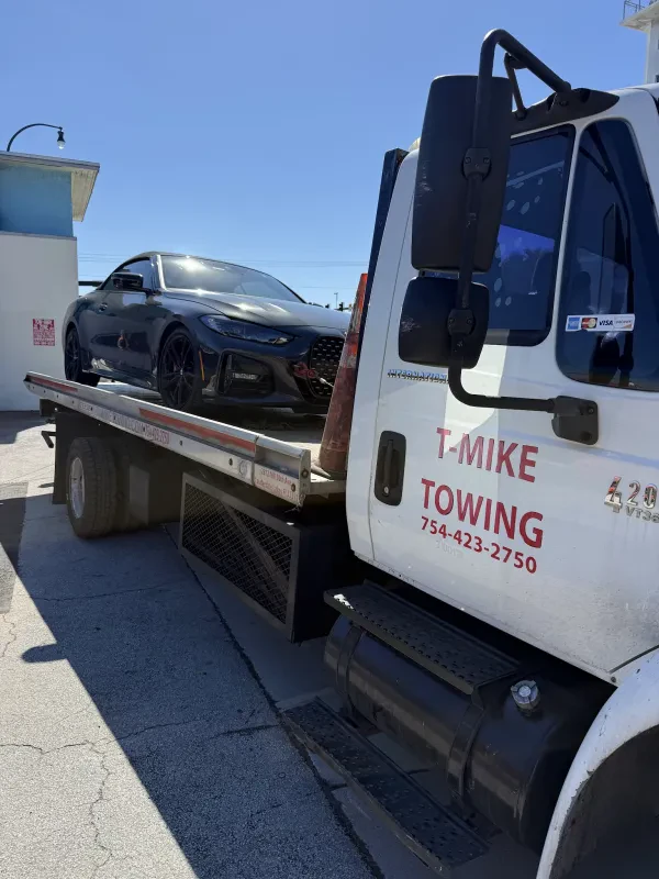 T-mike towing - photo 2
