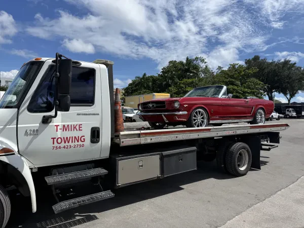 T-mike towing - photo 3
