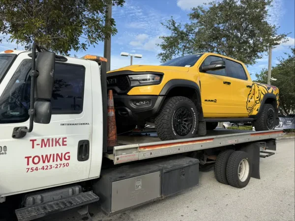 T-mike towing - photo 4