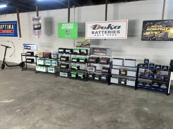 The Battery Exchange - photo 2