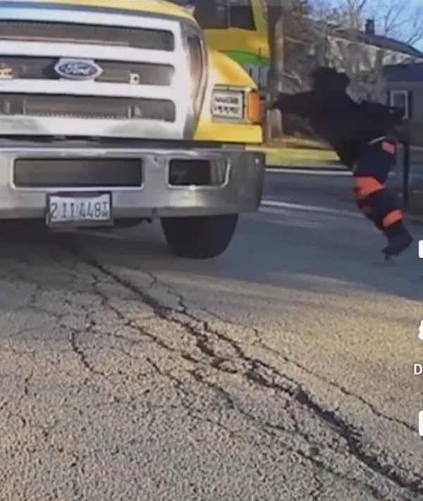 Mingos towing - photo 2
