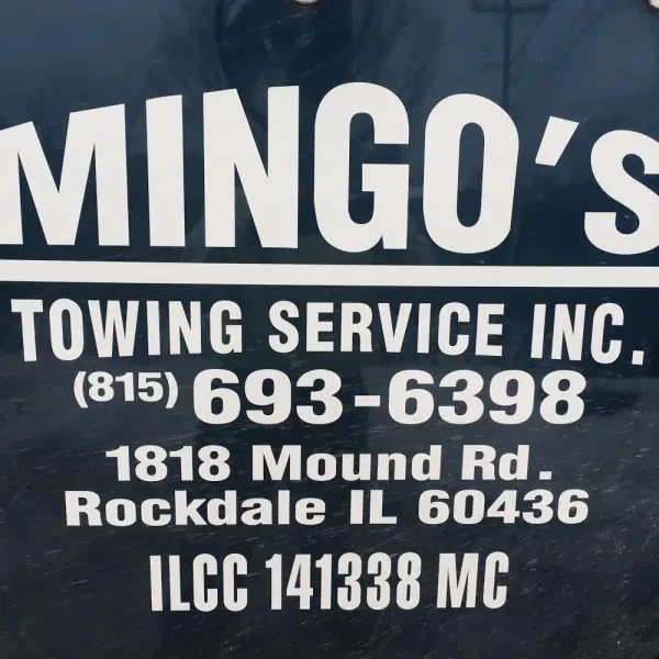 Mingos towing - photo 3