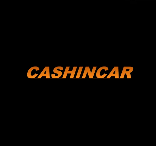 CASHINCAR - photo 2