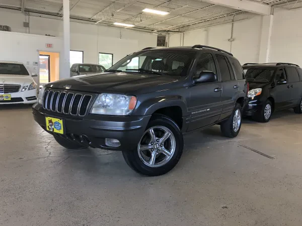 Burr Ridge Motor Sales - photo 3