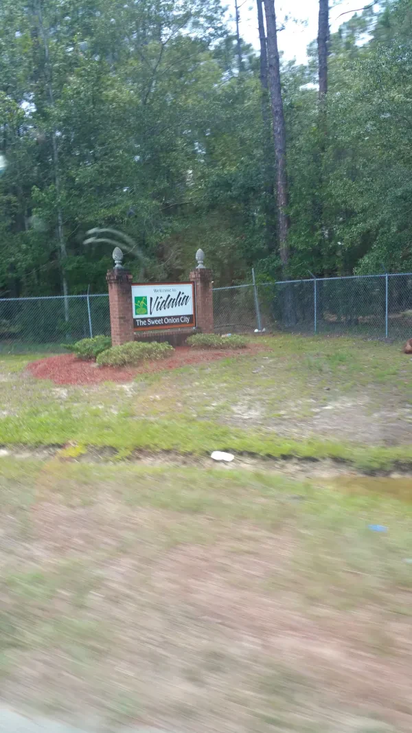 Vidalia Auto Salvage - photo 2