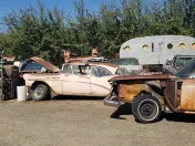 Big M Automotive