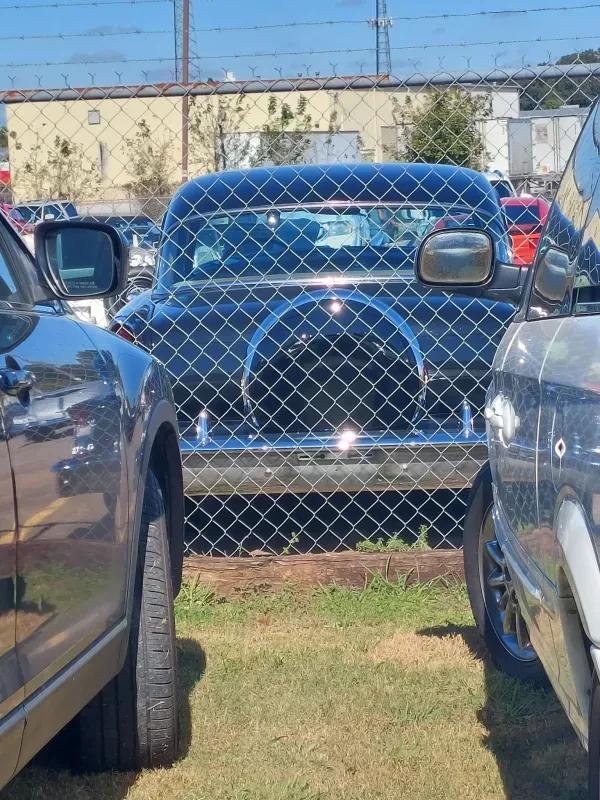 Shoals North Alabama Auto Auction - photo 2