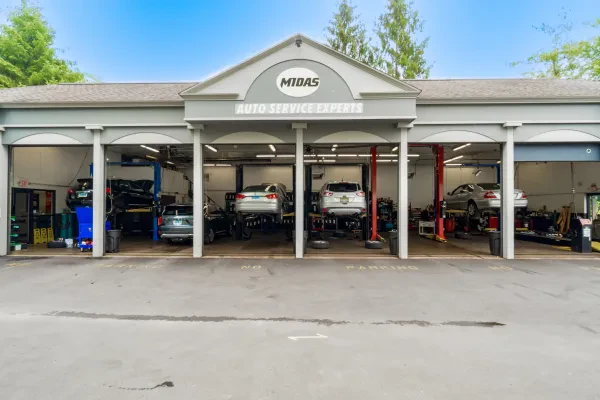 Midas - photo 3