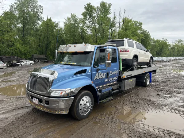 Alex towing - photo 2