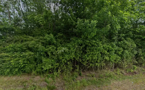 T & G Towing, LLC - photo 3