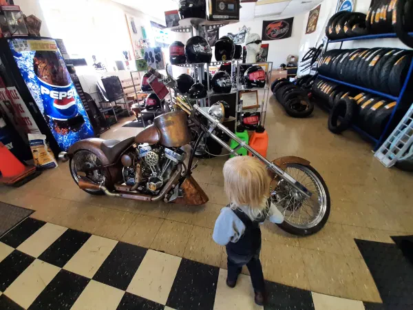 Don & Sons Cycle - photo 4