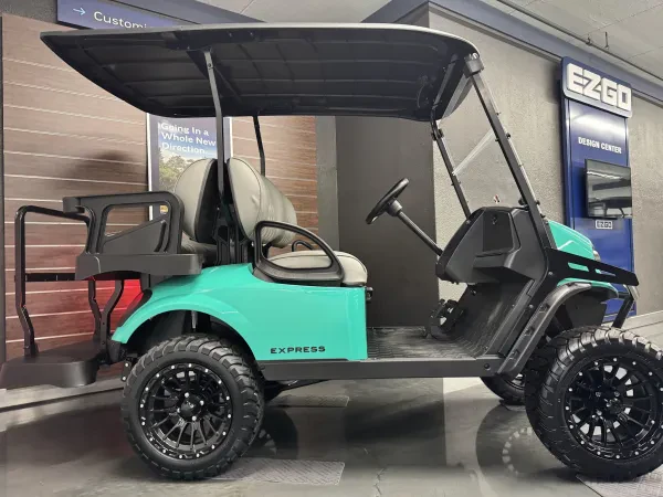 LAKE ERIE GOLF CARS - photo 3