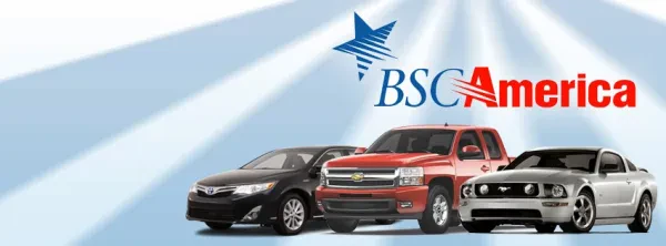 BSC America - photo 2