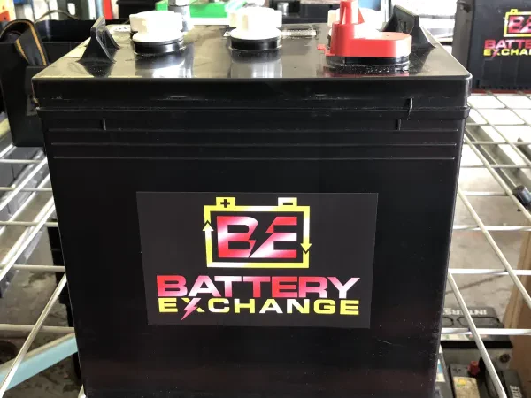 The Battery Exchange - photo 3