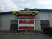 Colorado Mustang Specialists Inc.