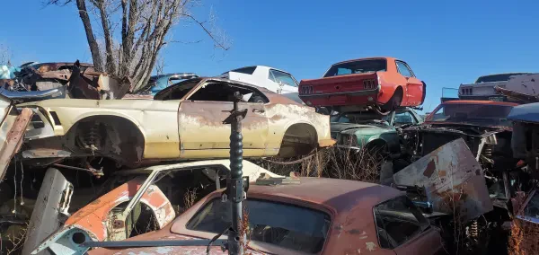Colorado Mustang Specialists Inc. - photo 2