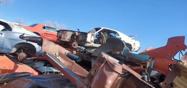 Colorado Mustang Specialists Inc. - photo 3