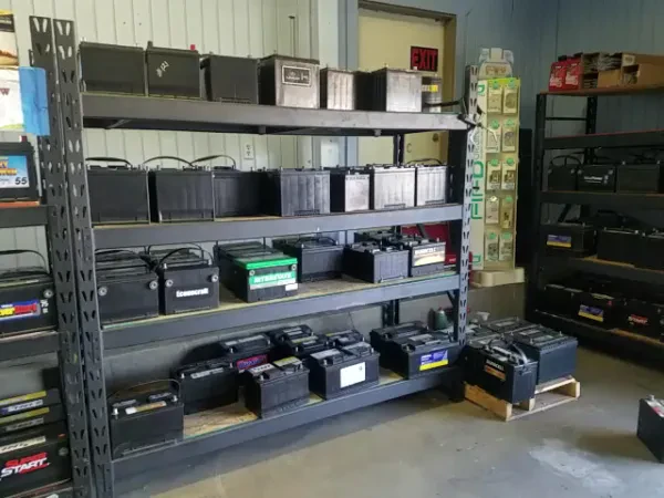 VICTOR'S BATTERY - photo 2