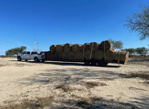 Rivera's Heavy Duty Towing & Transport - photo 4