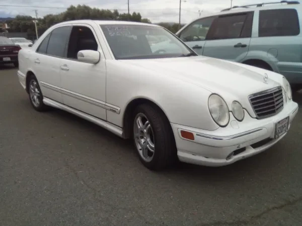 Mendocino Auto Auction - photo 4