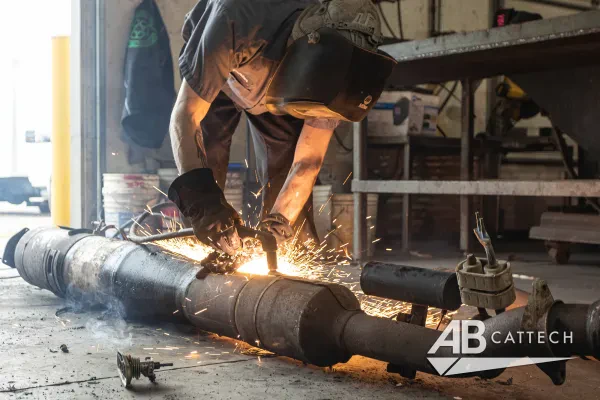 AB CATTECH - photo 3