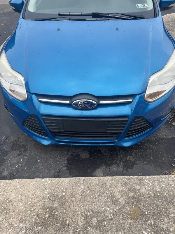 Roxy Auto Body Inc. - photo 2