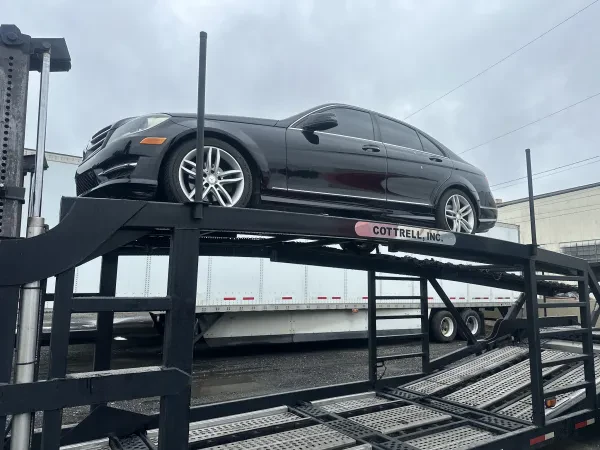 Vinmove Auto Transport - photo 4