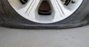 Kangaroo Towing