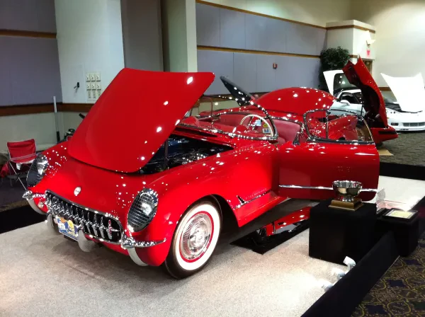 Volunteer Vette - photo 3
