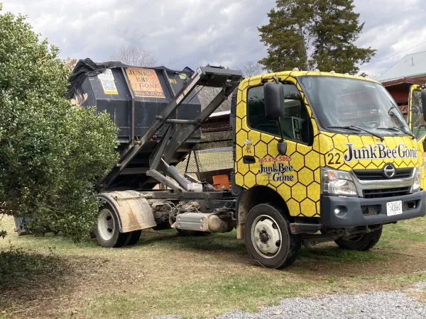 Junk Bee Gone LLC - photo 4