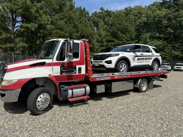Another Tow - photo 3