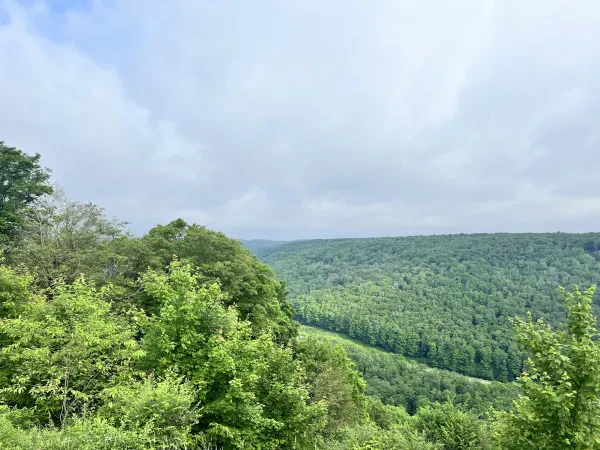 Denton Hill State Park (Denton Go) - photo 2