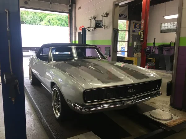Marple Automotive Inc - photo 3