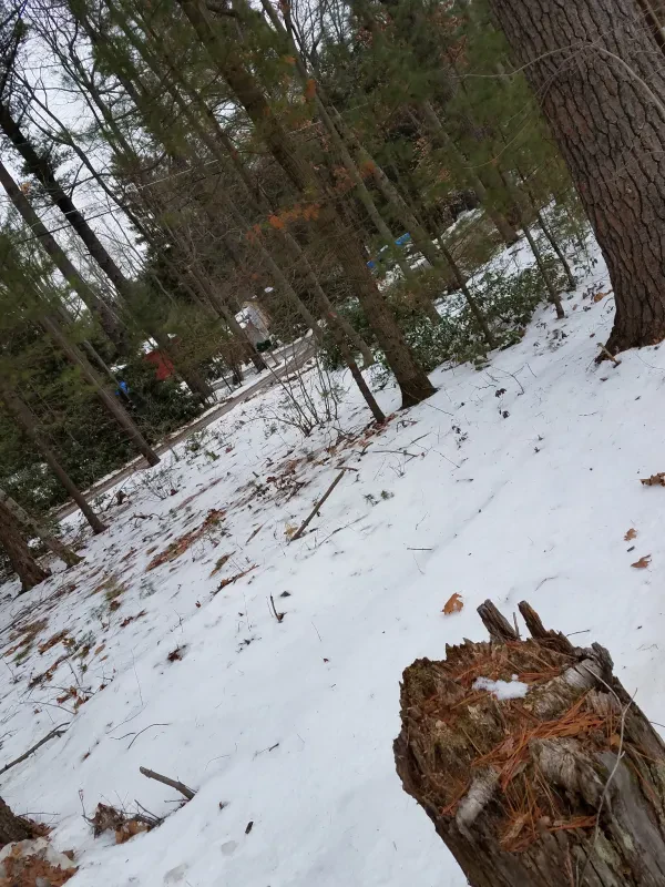 Penn Forest Garage - photo 4