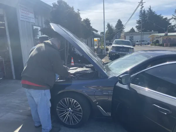 Best of the Bay Auto Body - photo 3