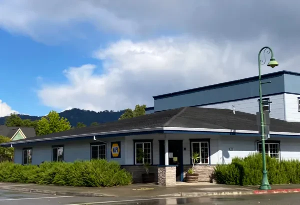 NAPA Auto Parts - Cloverdale Auto Parts - photo 2