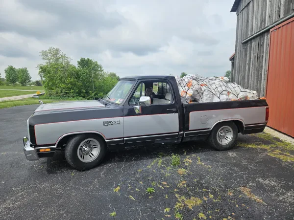Butler Recycling - photo 3