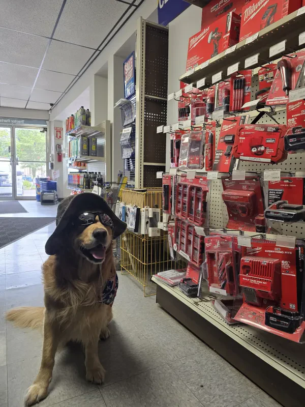 NAPA Auto Parts - Dallas Auto Parts - photo 3
