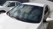 Star Auto Glass